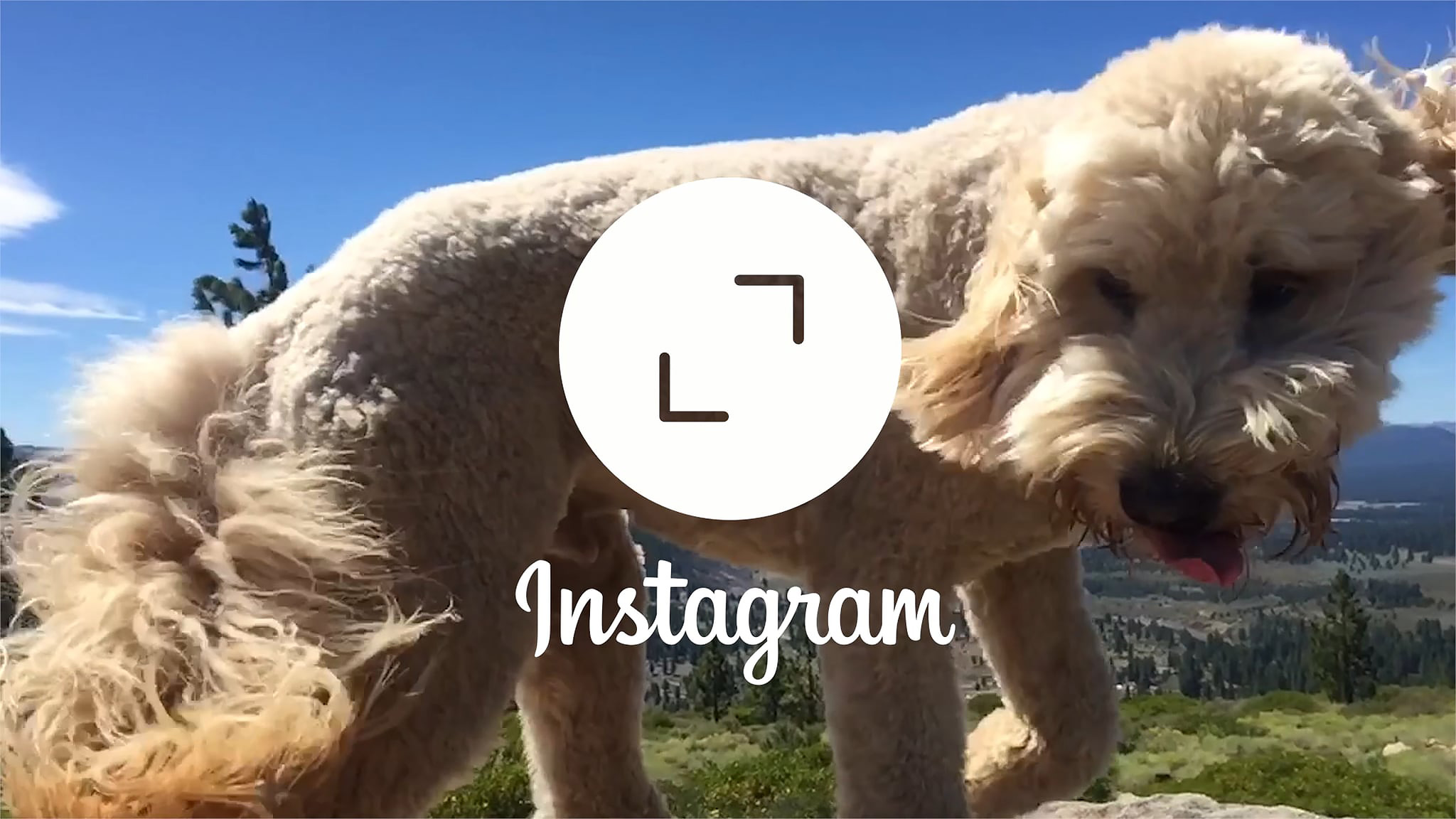 You no longer have to upload square photos to Instagram!